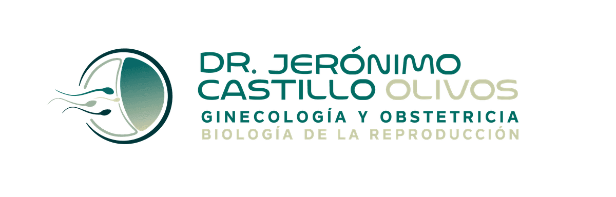 Logo Jerónimo Castillo Olivos